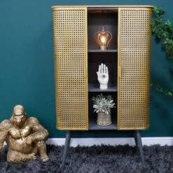 Rattan Door Display Cabinet